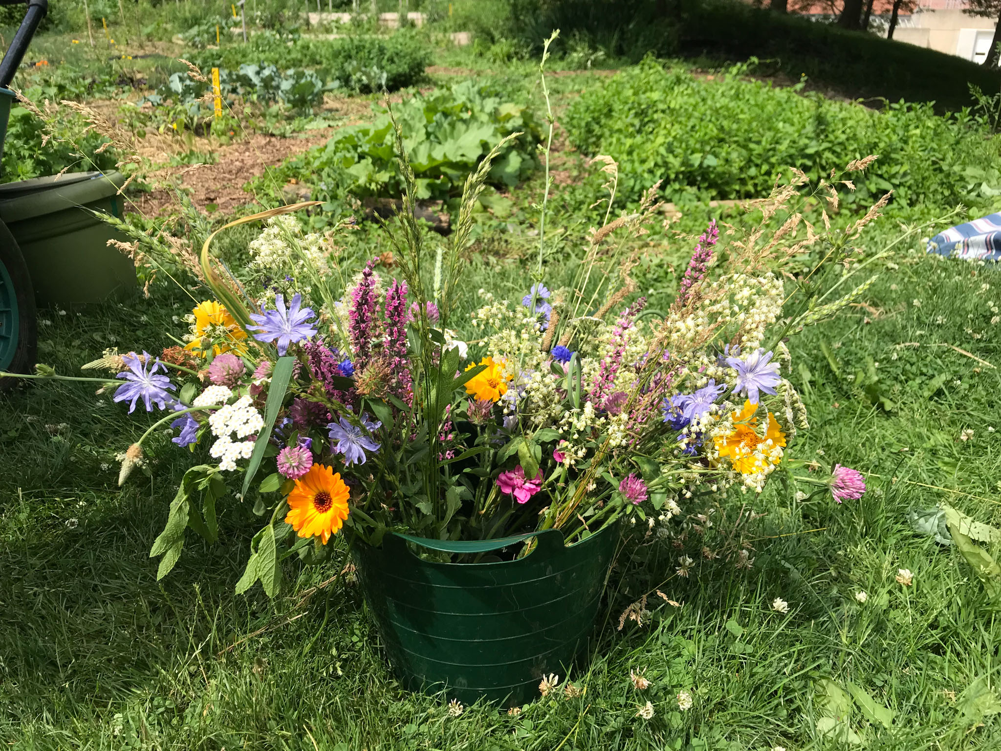 Wildflower posies at the Sunshine Garden